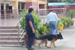 Multiple Delhi schools receive bomb threats; search ops underway